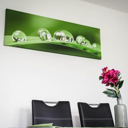Miraka Apartment Lipno nad Vltavou Luaran gambar