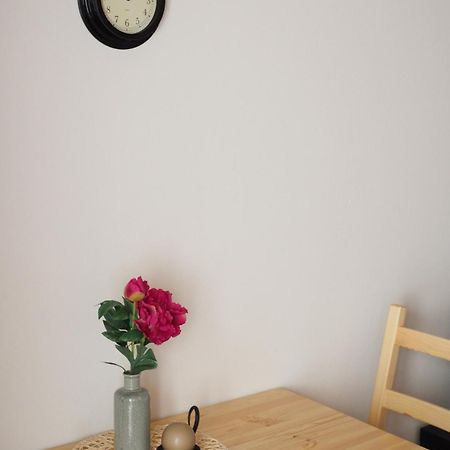 Miraka Apartment Lipno nad Vltavou Luaran gambar