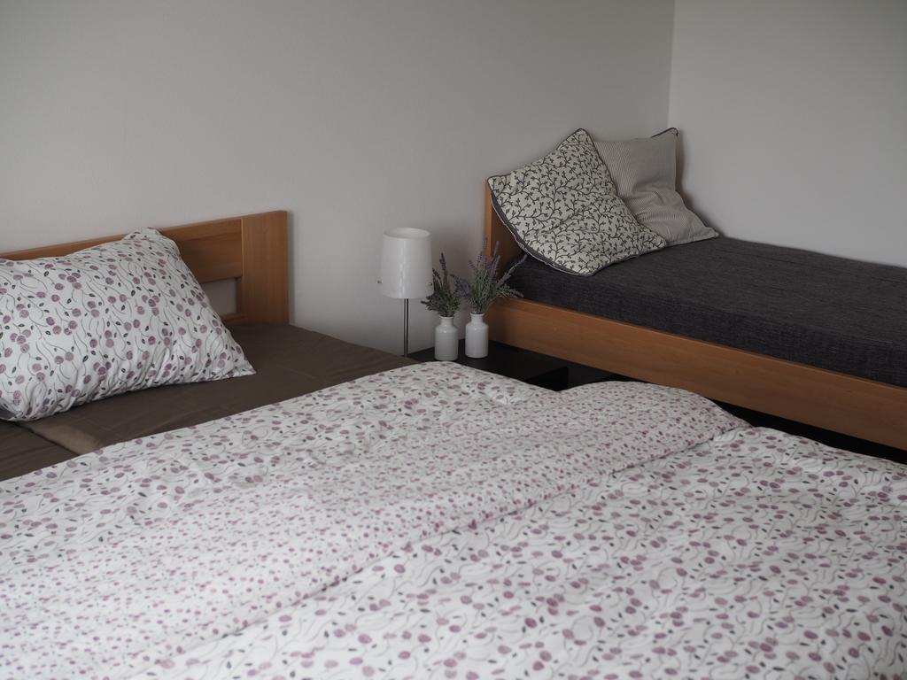 Miraka Apartment Lipno nad Vltavou Luaran gambar